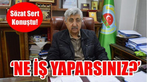 Ne İş Yaparsınız?