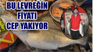 BİR MAAŞINIZA LEVREK ALIR MIYDINIZ?