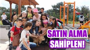 Satın Alma Sahiplen