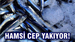Hamsi'nin Ateşi Düşmüyor