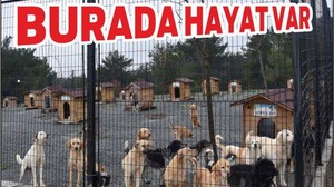 BURADA HAYAT VAR