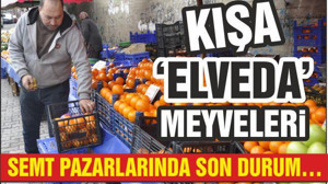 SEMT PAZARLARINDA SON DURUM… KIŞA ‘ELVEDA’ MEYVELERİ