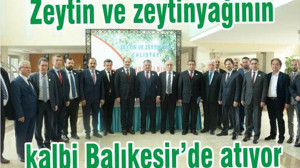 ZEYTİNİN KALBİ BALIKESİR'DE ATIYOR