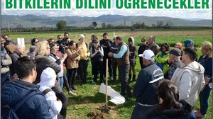 BİTKİLERİN DİLİNİ ÖĞRENECEKLER