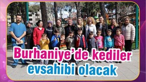 BURHANİYE’DE KEDİLER EV SAHİBİ OLDU