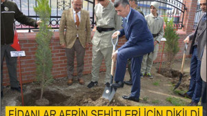 FİDANLAR AFRİN ŞEHİTLERİMİZ İÇİN