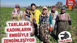 Tarlalar kadınların emeğiyle zenginleşiyor
