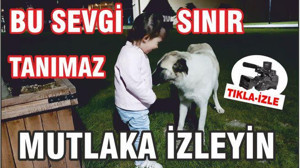 BALIKESİR'DE SEVGİNİN GÜCÜ SINIR TANIMIYOR.