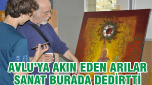 AVLU’YA AKIN EDEN ARILAR SANAT BURADA DEDİRTTİ
