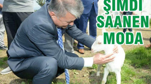 ŞİMDİ MODA SAANEN