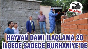 HAYVAN DAMI İLAÇLAMA 20 İLÇEDE SADECE BURHANİYE’DE