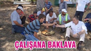 ÇALIŞANA BAKLAVA