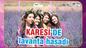 KARESİ’DE LAVANTA HASADI