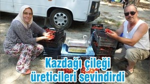 Kazdağı çileği üreticileri sevindirdi