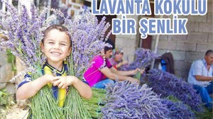 LAVANTA KOKULU BİR ŞENLİK