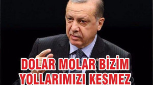 DOLAR MOLAR BİZİM YOLLARIMIZI KESMEZ