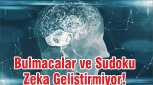 Bulmacalar ve Sudoku Zeka Geliştirmiyor!