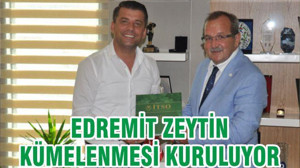 EDREMİT ZEYTİN KÜMELENMESİ KURULUYOR