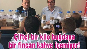 Çiftçi bir kilo buğdaya bir fincan kahve içemiyor!