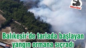Balıkesir’de tarlada başlayan yangın ormana sıçradı