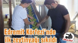 Edremit Körfezi’nde ilk zeytinyağı sıkıldı