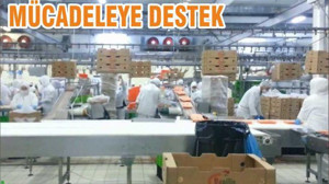 MÜCADELEYE DESTEK