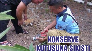 KONSERVE KUTUSUNA SIKIŞTI
