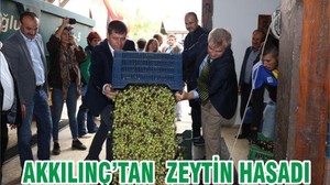 AKKILINÇ’TAN ZEYTİN HASADI