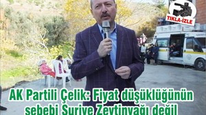 AK Partili Çelik: Fiyat düşüklüğünün sebebi Suriye Zeytinyağı değil