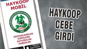 HAYKOOP CEBE GİRDİ