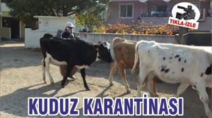 KUDUZ KARANTİNASI