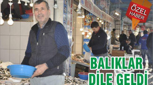 BALIKLAR DİLE GELDİ