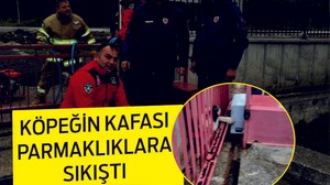 KAFASI PARMAKLIKLARA SIKIŞTI