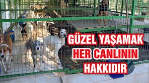 HER CANLININ GÜZEL YAŞAMA HAKKI VARDIR