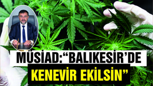 MÜSİAD: "BALIKESİR'DE KENEVİR EKİLSİN"