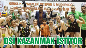 DSİ KAZANMAK İSTİYOR
