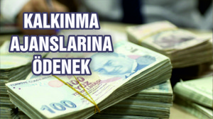 Kalkınma ajanslarına milyonlarca lira transfer ödeneği