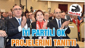 Akşener Ok'un lansmanında