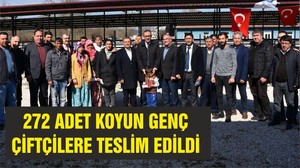 272 ADET KOYUN GENÇ ÇİFTÇİLERE TESLİM EDİLDİ