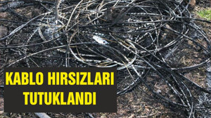 KABLO HIRSIZLARI TUTUKLANDI