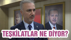 TEŞKİLATLAR NE DİYOR?