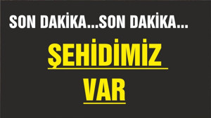 ŞEHİDİMİZ VAR