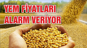 Yem fiyatları kontrol altına alınmalı!
