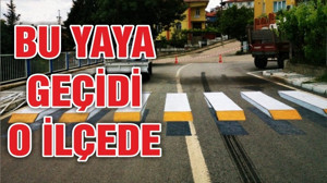 3 Boyutlu Yaya Geçidi