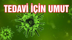 Virüslerde keşfedilen özellik tedavi için umut olabilir