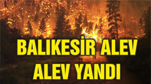 BALIKESİR ALEV ALEV YANDI