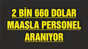 Ayda 2 bin 660 dolardan başlayan maaşla kabin memurları arıyor