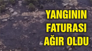 AYVALIKTA YANGIN