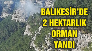 BALIKESİR'DE 2 HEKTARLIK ORMAN YANDI