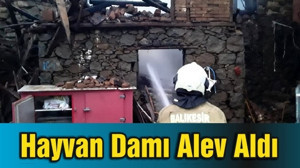 Hayvan Damı Alev Aldı